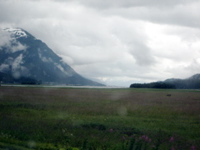 Juneau Landscape 2