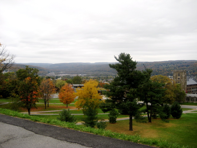 Cornell Campus 3