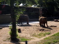 Karlsruhe Zoo 2